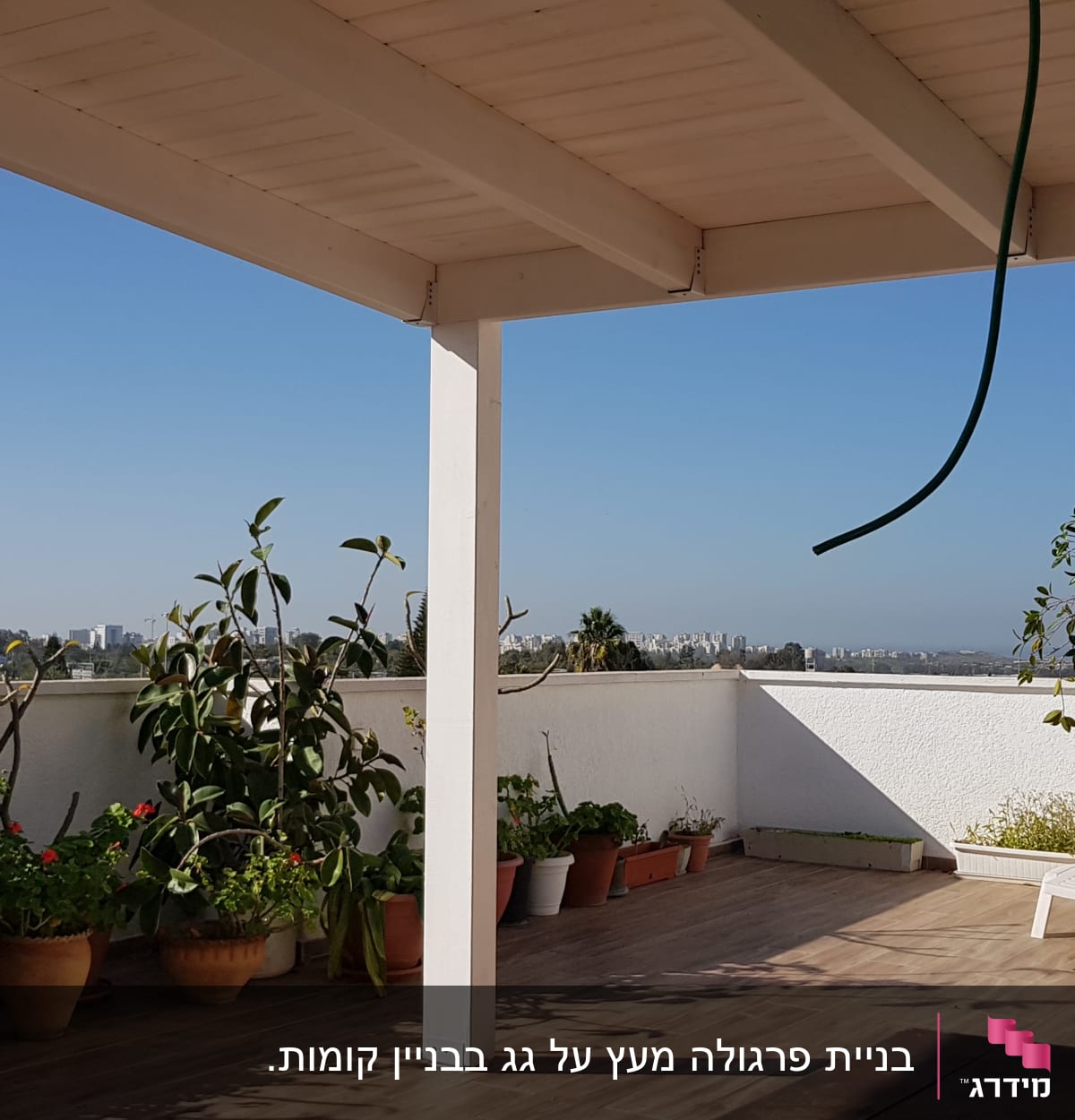 עציצים עם צמחים על רצפת עץ במרפסת
